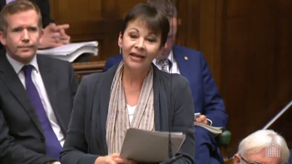 Caroline Lucas speaking in parliament