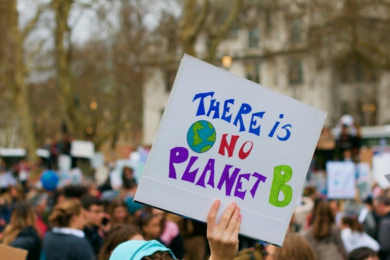 A placard at a climate change protest with text reading "There is no planet B"