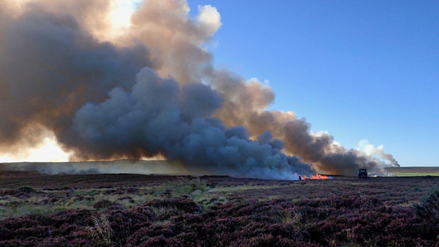 Campaign win: Peatland heath burning set to be banned in blow for grouse shooters