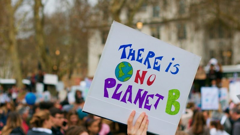 A placard with text reading "There is no planet B"