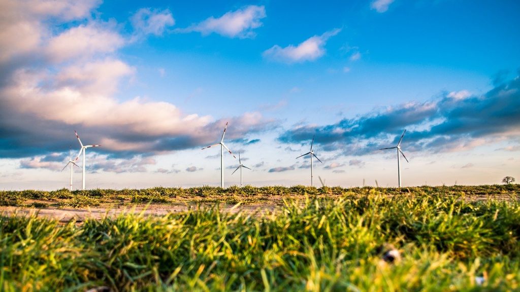 Wind turbines on the horizon