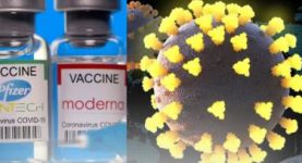 Stocks soar in vaccines