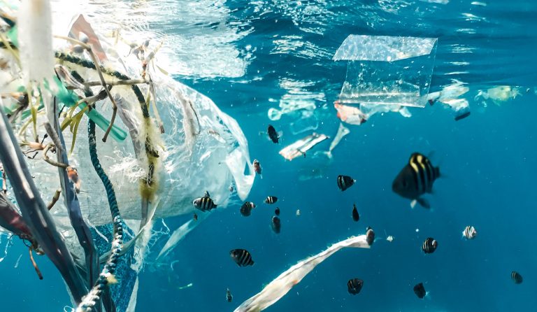 Plastic polluton