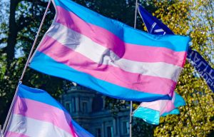 Trans pride flag