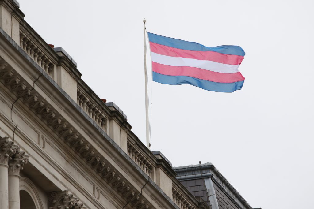 Transgender flag