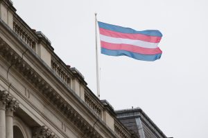 Transgender flag
