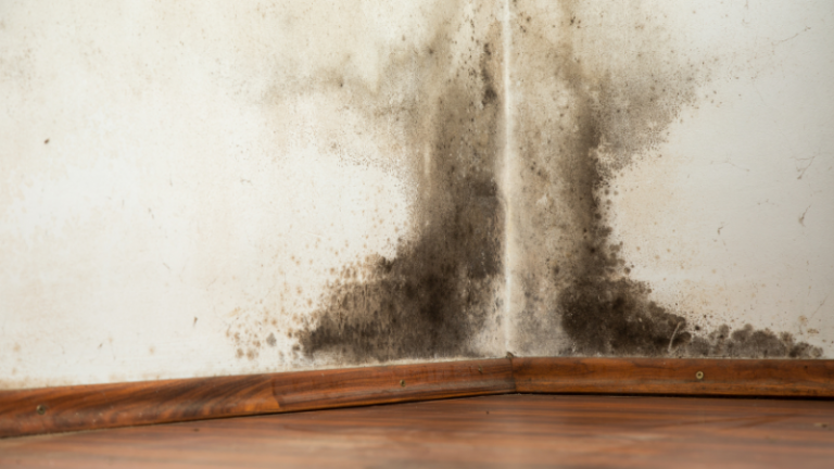Housing disrepair