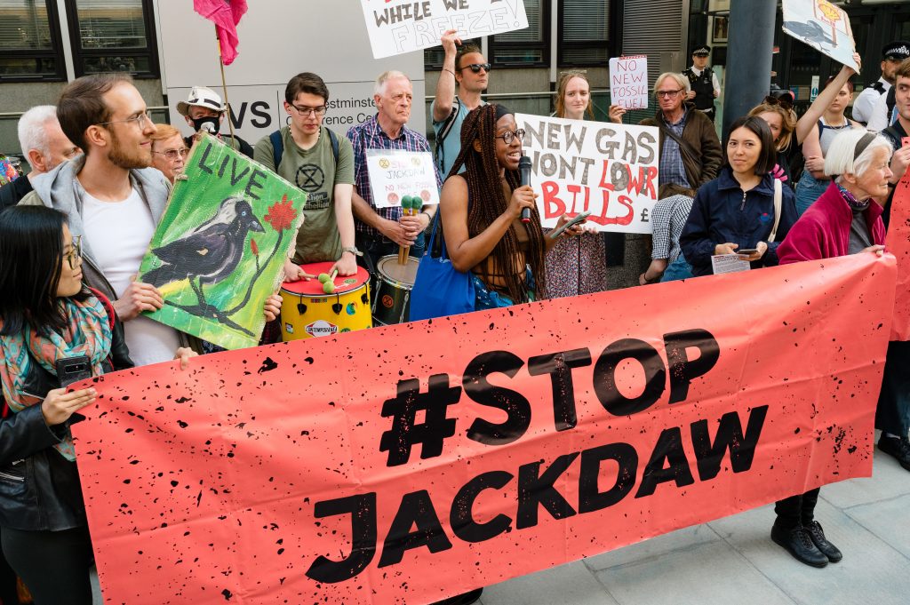 Stop Jackdaw