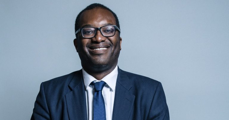 Kwasi Kwarteng portrait
