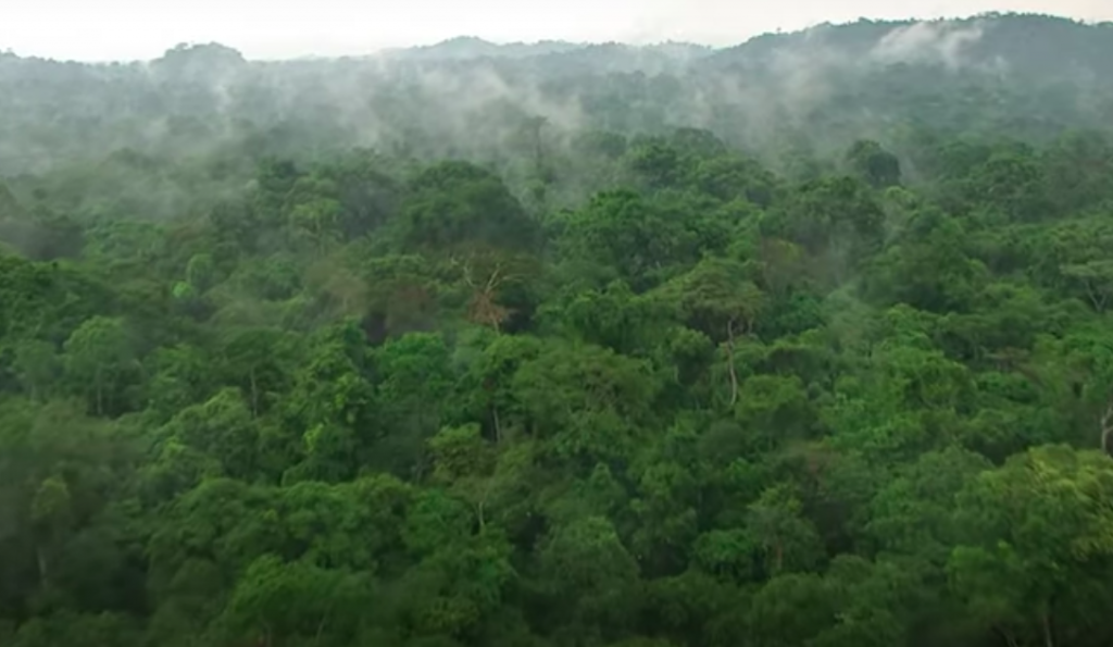 Biodiversity