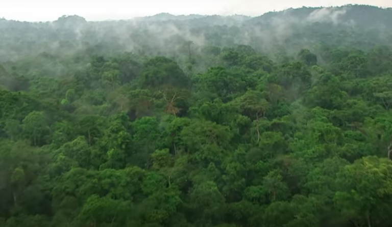 Biodiversity