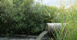 water pollution