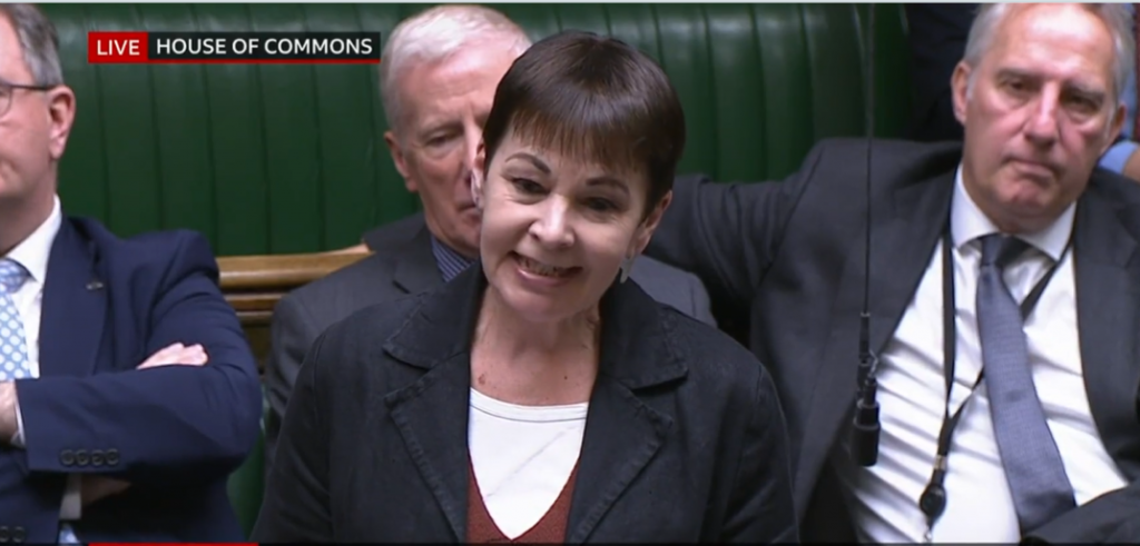 Caroline Lucas PMQs