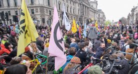 Extinction Rebellion protest in Westminster