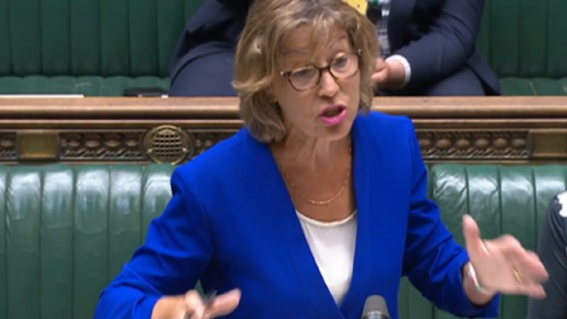 Tory minister Rebecca Pow speaking in the House of Commons on water privatisation