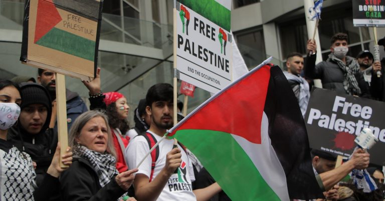 A photo of Palestine solidarity protesters