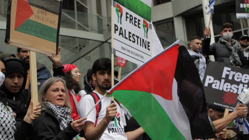 A photo of Palestine solidarity protesters