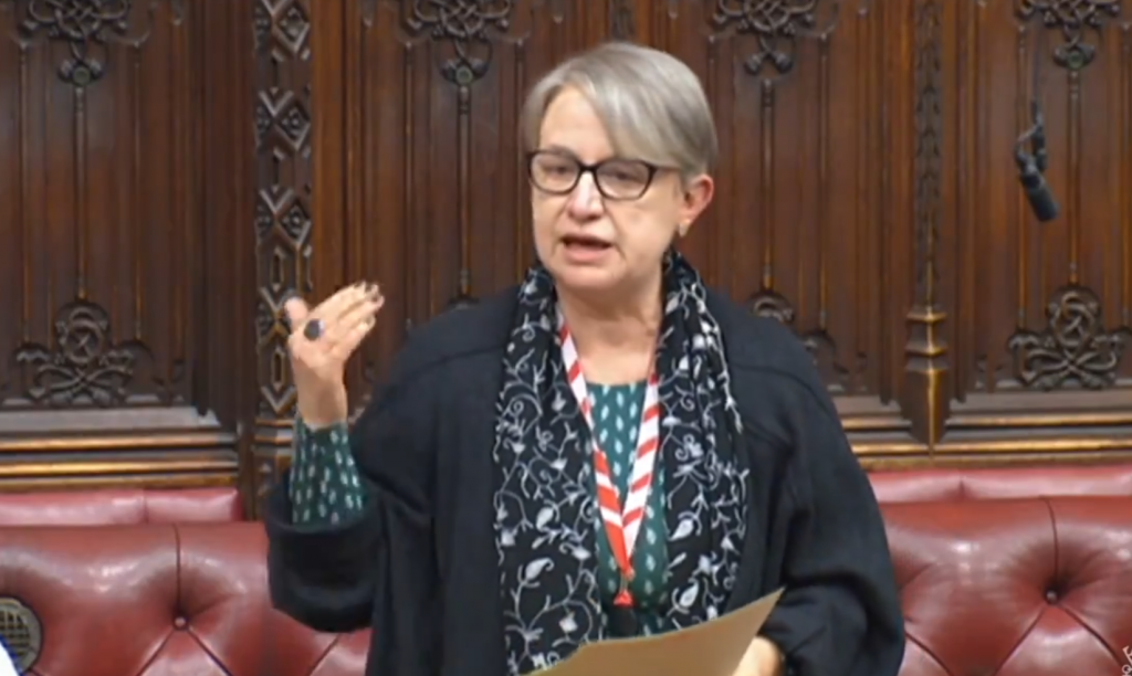 Baroness Bennett House of Lords
