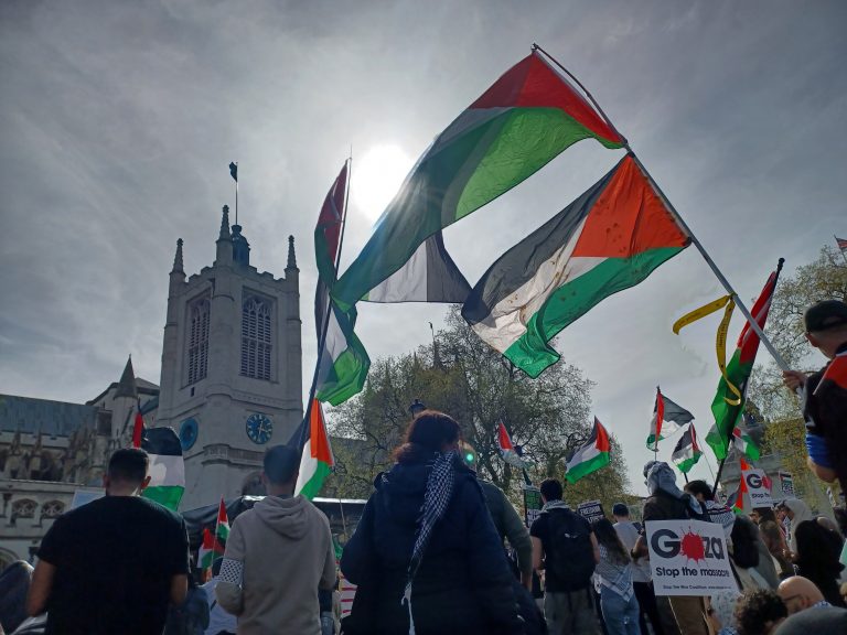 Palestine Flag protest