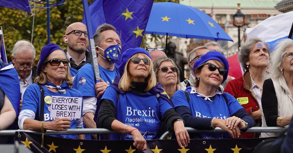Protests at a Rejoin EU demonstration