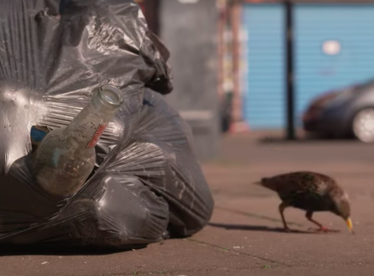 Bin strikes