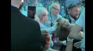 A photo of a woman getting attacked at Reform conference
